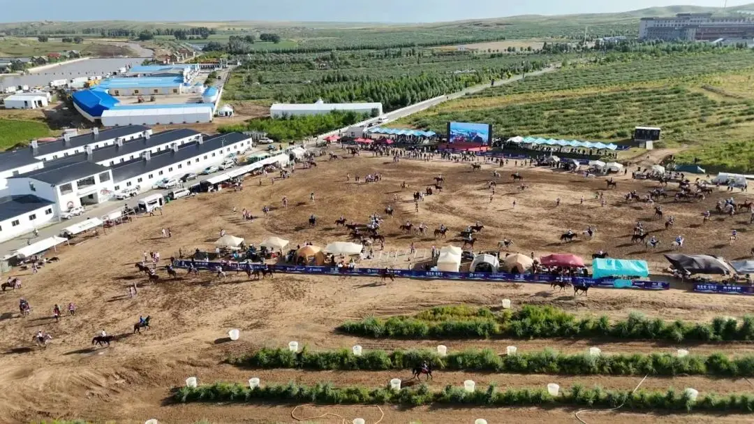 cn